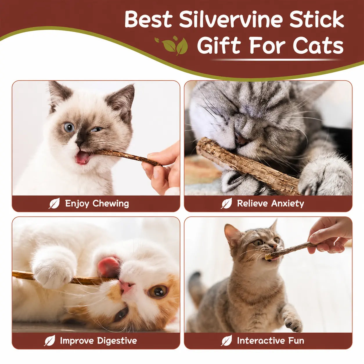 Natural Silvervine Cat Chew Sticks – 2 Packs (20 Sticks) Natural Matatabi Chew Toys for Cats & Kittens, Dental Care, Teeth Cleaning, Calm Anxiety, Aggressive Chewer Toy, Interactive Play Toys Chewtoy