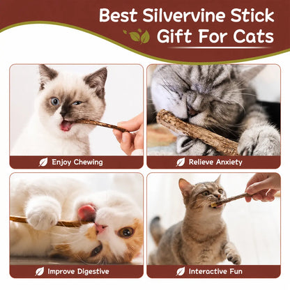 Natural Silvervine Cat Chew Sticks – 2 Packs (20 Sticks) Natural Matatabi Chew Toys for Cats & Kittens, Dental Care, Teeth Cleaning, Calm Anxiety, Aggressive Chewer Toy, Interactive Play Toys Chewtoy
