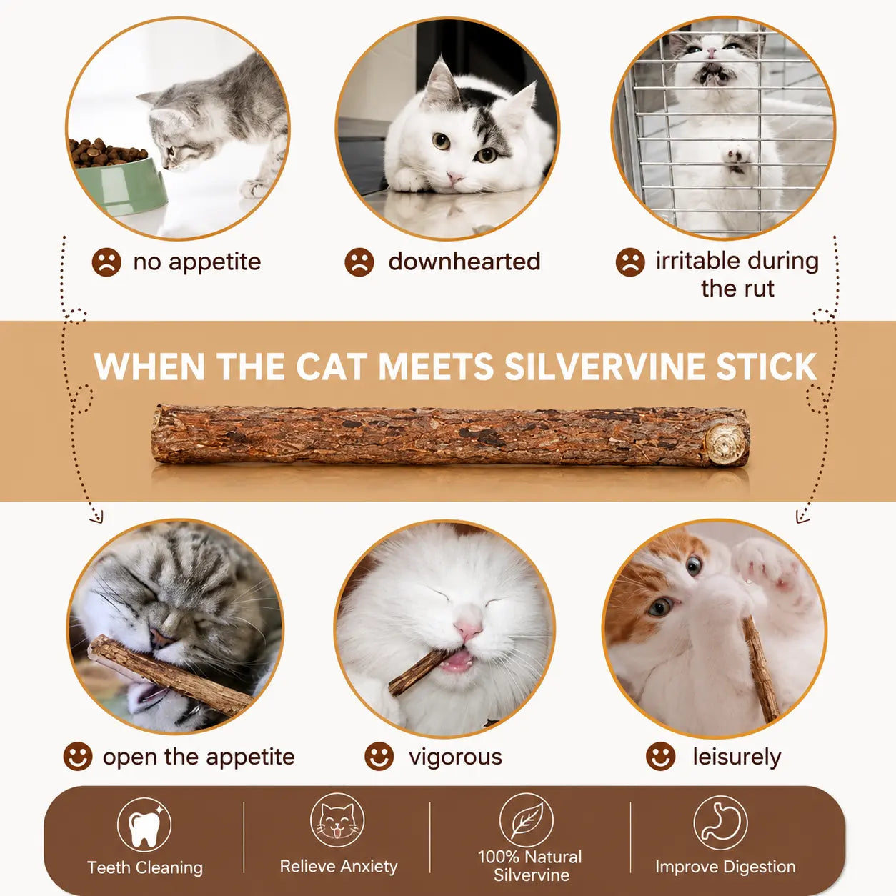 Natural Silvervine Cat Chew Sticks – 2 Packs (20 Sticks) Natural Matatabi Chew Toys for Cats & Kittens, Dental Care, Teeth Cleaning, Calm Anxiety, Aggressive Chewer Toy, Interactive Play Toys Chewtoy