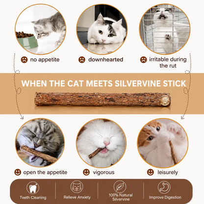 Natural Silvervine Cat Chew Sticks – 2 Packs (20 Sticks) Natural Matatabi Chew Toys for Cats & Kittens, Dental Care, Teeth Cleaning, Calm Anxiety, Aggressive Chewer Toy, Interactive Play Toys Chewtoy
