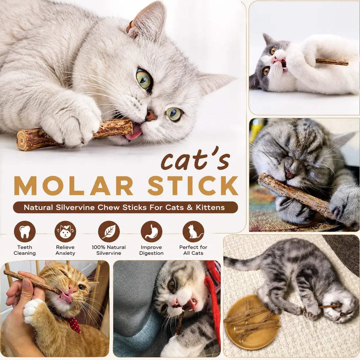 Natural Silvervine Cat Chew Sticks – 2 Packs (20 Sticks) Natural Matatabi Chew Toys for Cats & Kittens, Dental Care, Teeth Cleaning, Calm Anxiety, Aggressive Chewer Toy, Interactive Play Toys Chewtoy