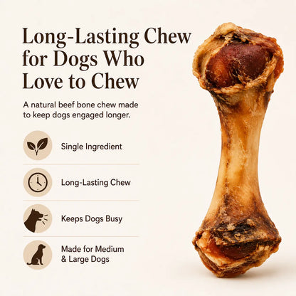 Natural Beef Bone Dog Chew for Medium & Large Dogs, Long-Lasting Single Ingredient Bone Chew to Keep Dogs Busy