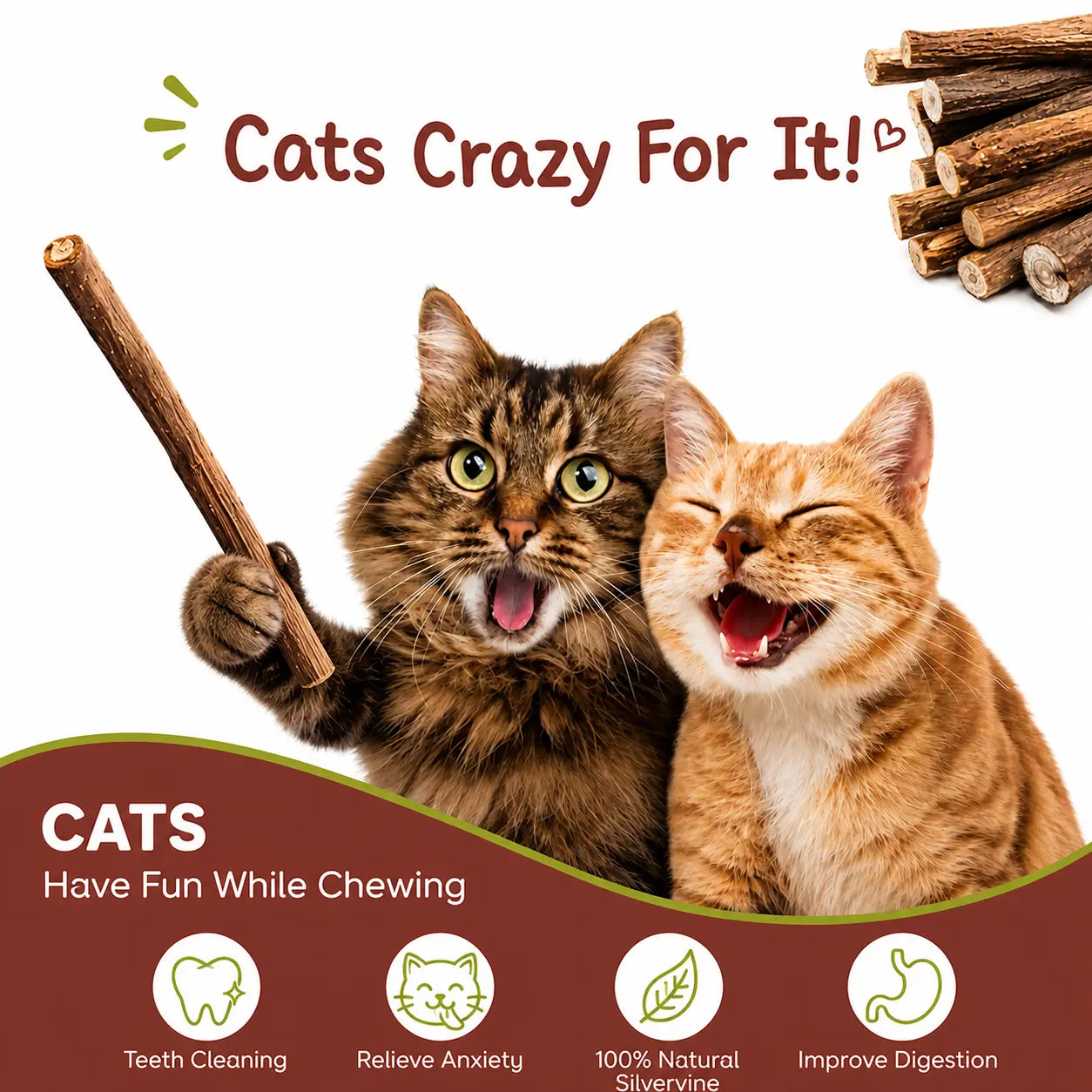 Natural Silvervine Cat Chew Sticks – 2 Packs (20 Sticks) Natural Matatabi Chew Toys for Cats & Kittens, Dental Care, Teeth Cleaning, Calm Anxiety, Aggressive Chewer Toy, Interactive Play Toys Chewtoy