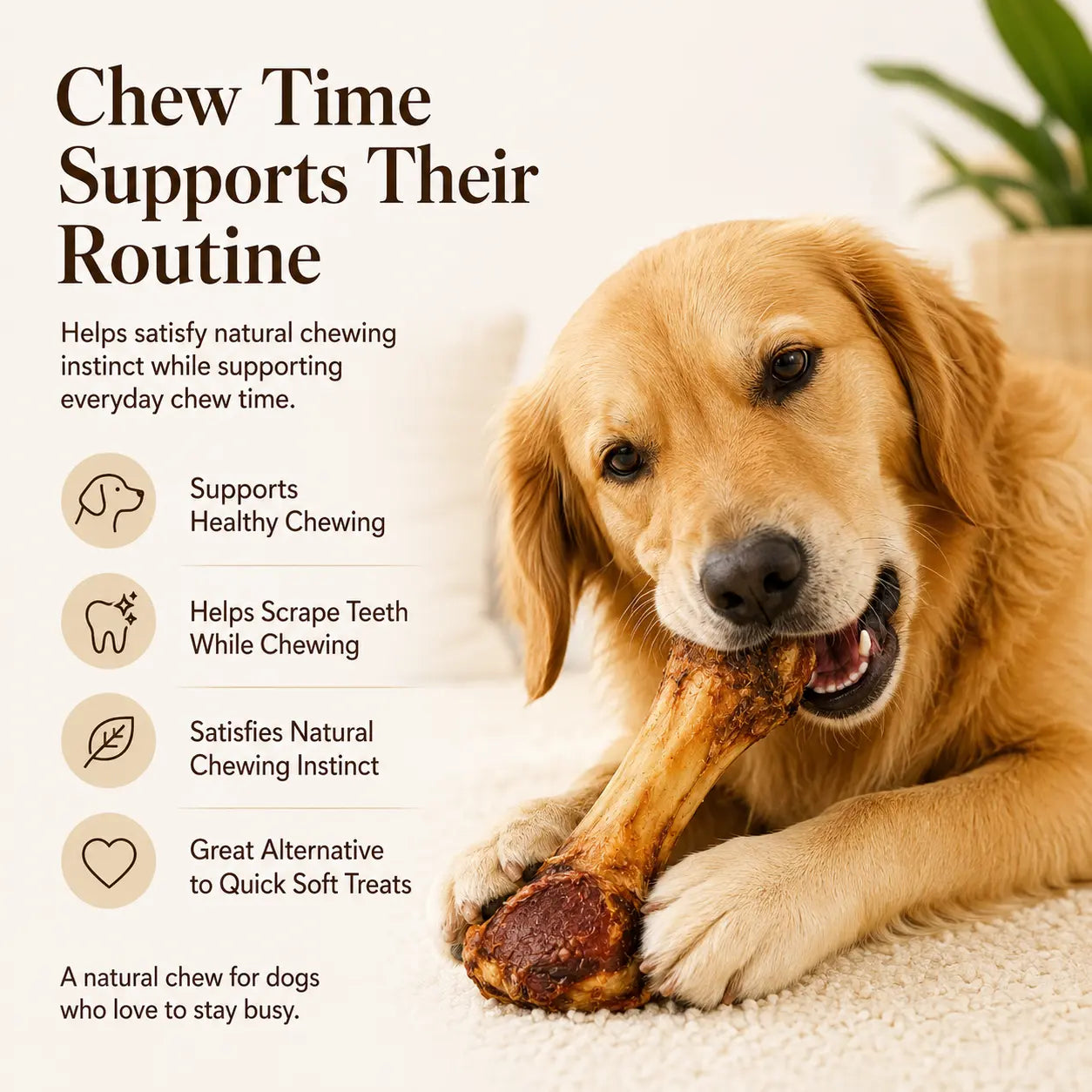Natural Beef Bone Dog Chew for Medium & Large Dogs, Long-Lasting Single Ingredient Bone Chew to Keep Dogs Busy