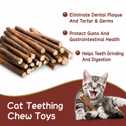 Natural Silvervine Cat Chew Sticks – 2 Packs (20 Sticks) Natural Matatabi Chew Toys for Cats & Kittens, Dental Care, Teeth Cleaning, Calm Anxiety, Aggressive Chewer Toy, Interactive Play Toys Chewtoy