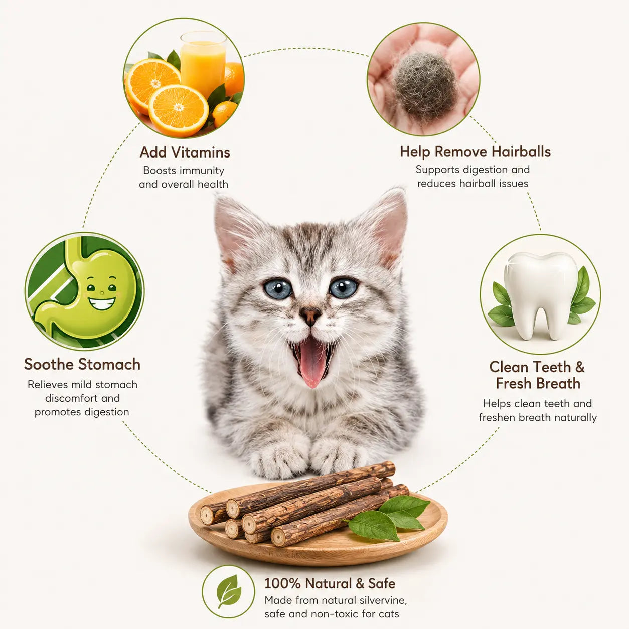 Natural Silvervine Cat Chew Sticks – 2 Packs (20 Sticks) Natural Matatabi Chew Toys for Cats & Kittens, Dental Care, Teeth Cleaning, Calm Anxiety, Aggressive Chewer Toy, Interactive Play Toys Chewtoy