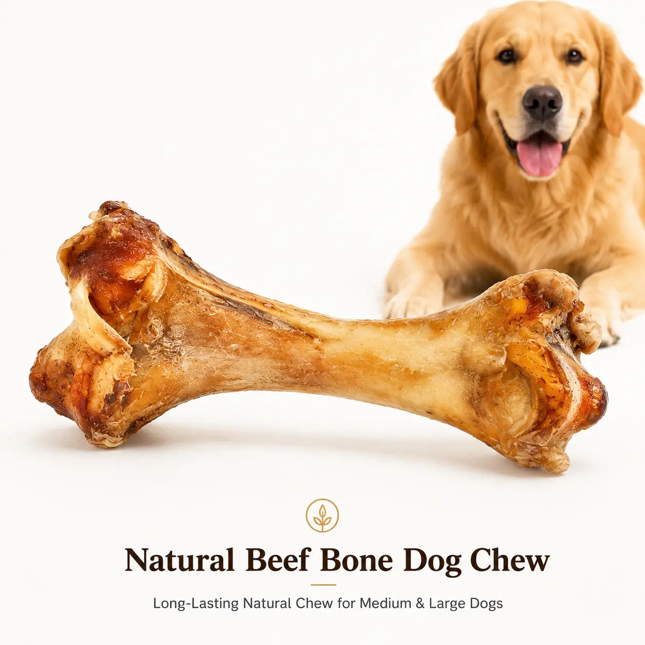 Natural Beef Bone Dog Chew for Medium & Large Dogs, Long-Lasting Single Ingredient Bone Chew to Keep Dogs Busy