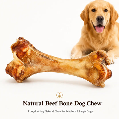 Natural Beef Bone Dog Chew for Medium & Large Dogs, Long-Lasting Single Ingredient Bone Chew to Keep Dogs Busy