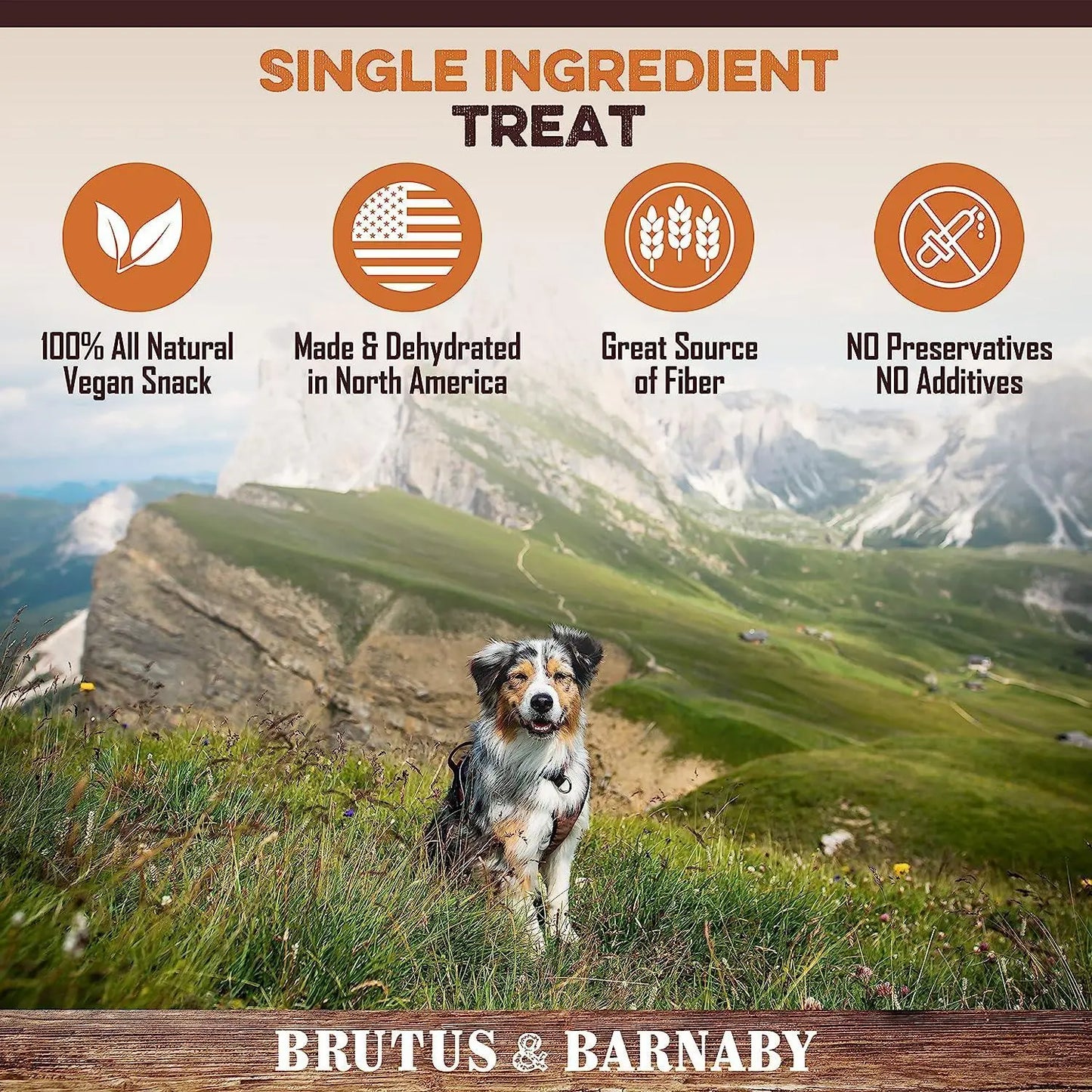 Sweet Potato Dog Treats - USA Grown - Brutus & Barnaby Single Ingredient Dehydrated Sweet Potato Slices, Thick Cut Chews, Grain & Gluten Free, High Fiber, Healthy Training Treats for Puppies & Senior Dogs, Picky Eaters & Sensitive Stomachs