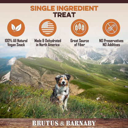 Sweet Potato Dog Treats - USA Grown - Brutus & Barnaby Single Ingredient Dehydrated Sweet Potato Slices, Thick Cut Chews, Grain & Gluten Free, High Fiber, Healthy Training Treats for Puppies & Senior Dogs, Picky Eaters & Sensitive Stomachs